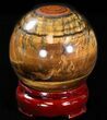 Top Quality Polished Tiger's Eye Sphere #37595-1